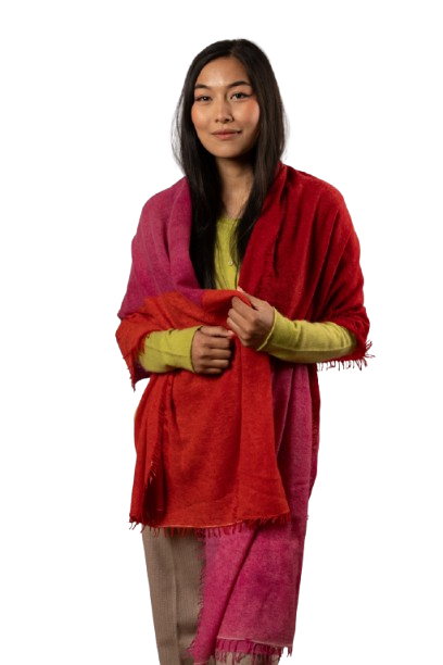 blog_image