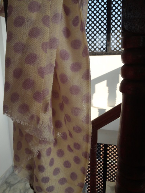  Cashmere  fine woven printed Shawl  (3017)